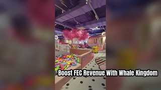 Whale Kingdom Indoor Playground for High Revenue FEC